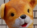 PC150014.JPG